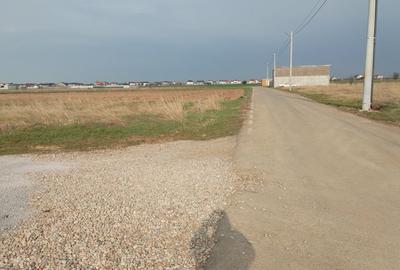 Teren Construcții intravilan de 500 mp, în Dragomirești-Vale - 6