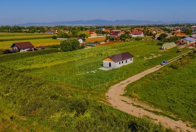 0% COMISION | Teren de vanzare Bod | 700 mp | Constructie pe teren - 4