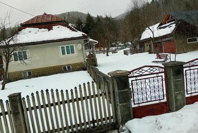 Casă cu 2 camere în Avram Iancu - 1