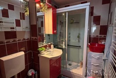 Apartament cu 2 camere decomandat-Parcul Tineretului - 9