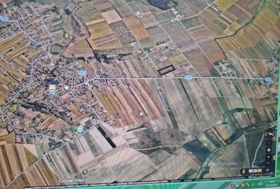 Teren de 8840 mp, în Curtești - 3