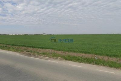 Teren de 18000 mp, în Tunari