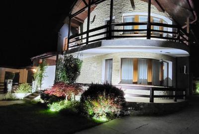 Vila de lux cu piscina, sauna si acces la lacul Casla - 18