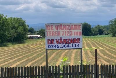 Teren de vanzare 7.123 mp intravilan, Buhusi - 2