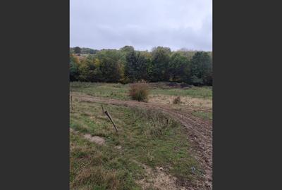 VIla de vanzare Teisani Stubeiu 11250 mp - 4