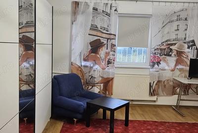 Garsoniera Dr. Taberei ANL Brancusi Dr. Doftanei Garsoniera Dr. Taberei ANL Brancusi Dr. Doftanei - 10