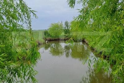 Casa cu teren generos ?i balta de pescuit Gae?ti - 6