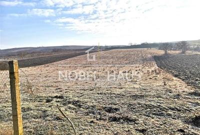 Teren intravilan 825 mp, Grivita, pentru constructii - 7