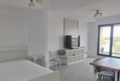 Garsonieră decomandată în Viilor - 5