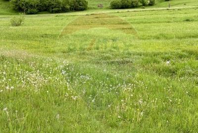 Teren agricol extravilan de 20876 mp, în Breb - 4