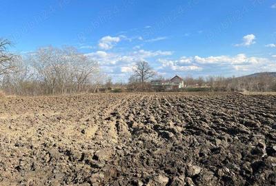 Se vinde casa batraneasca cu teren! Se vinde casa batraneasca cu teren! - 3