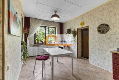 Pet Friendly, Vedere Padure, 5000mp teren, D+P+1E+M, semineu, foisor - 9