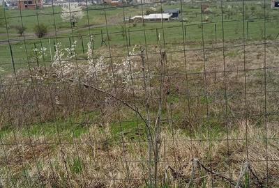 Teren de 480 mp, în Vulcan