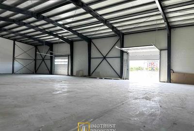 Hala industriala de inchiriat 350700 mp, configurabila - 2