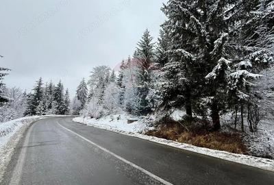 Teren de 1419 mp, în Moroeni - 1