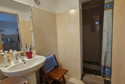 Casă individuală cu 2 camere cu Canalizare în Bucureștii Noi - 11