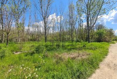 Teren de vanzare / Dem Radulescu - 9