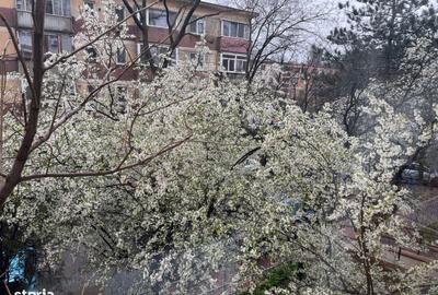 Apartament cu 2 camere, mobilat în Titan - 4