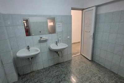 Spațiu industrial, de 3,700 mp, în Theodor Pallady - 5