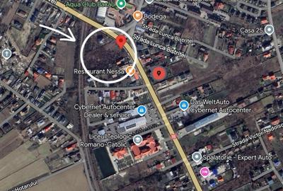Teren Construcții intravilan de 4818 mp, în Gherăiești - 4