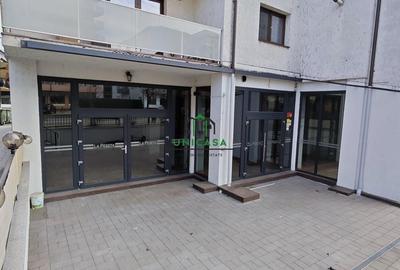 Spatiu Comercial/Dem Radulescu - 7