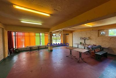 Spatiu comercial de vanzare sau inchiriere - Tamadau Mare, stradal DN3 - 3