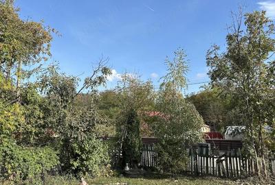 Casă cu 3 camere cu Teren 700 Mp în Vulcana de Sus - 1