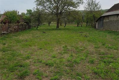 Teren de 2700 mp, în Mărișelu - 5
