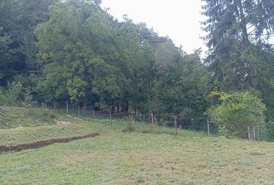 Casa rustica cu semineu,1.100mp teren, priveliste,padure:refugiu autentic in nat - 3