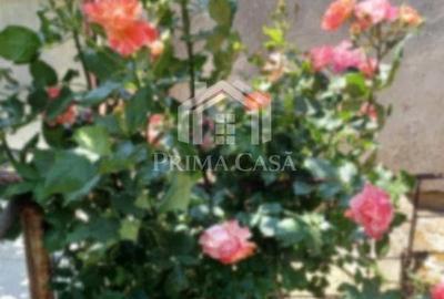 Casă cu Teren 500 Mp în Dorobanți - 7