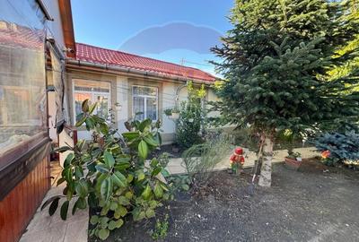 Casa / Vila cu 6 camere de vanzare in zona Sud Casa / Vila cu 6 camere de vanzare in zona Sud - 2