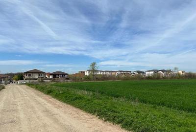 Teren de 24750 mp, în Pantelimon - 3