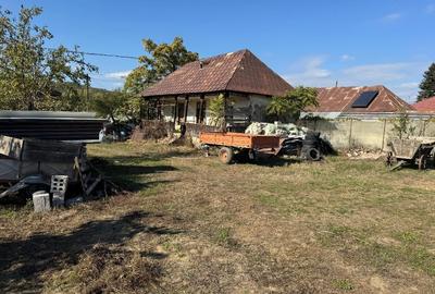 Casă individuală cu 2 camere cu Teren 4487 Mp în Nemoiu - 5