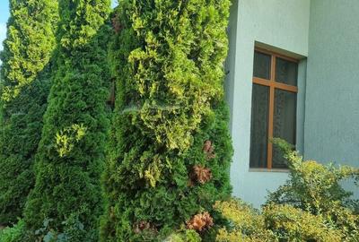 Casă cu 4 camere cu Teren 700 Mp în Central - 6