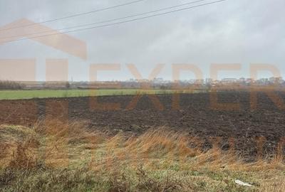 Teren Construcții extravilan de 5000 mp, în Lumina - 8