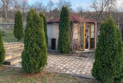 Casă cu Teren 1905 Mp în Stejeriș - 13