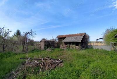 Casă cu 4 camere cu Teren 4122 Mp în Petid - 16