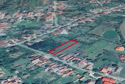Teren intravilan 1,508mp Masca jud. Arad - 4