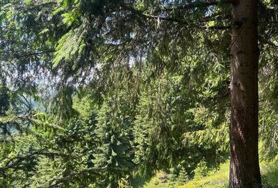 Spațiu comercial, în Mărișel - 3