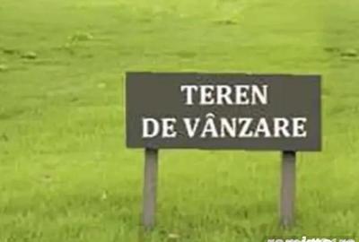 Mosnita Noua/teren- 2 ha  intre case/fs-50ml /pret 35 euro/mp - 1
