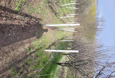 Casă cu 2 camere cu Teren 1154 Mp în Schitu Duca - 9