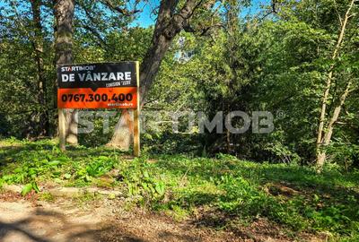 Teren intravilan zona Schei Brasov - 4