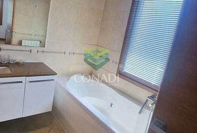 Iancu Nicolae, vila de inchiriat, 5 camere - 9