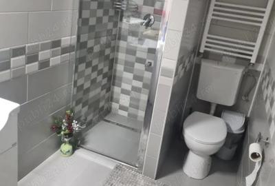 Cabana de inchiriat - 2