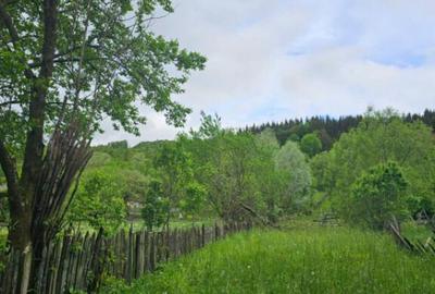 TEREN VANZARE VALEA DOFTANEI - 6