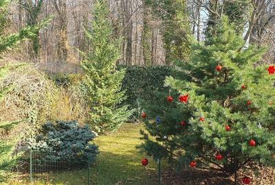 Sect 1, Bucuresti-Vila langa padurea Baneasa, zona Liceul Francez/COMISION 0 - 7