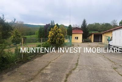Casă cu 4 camere în Băjești - 9