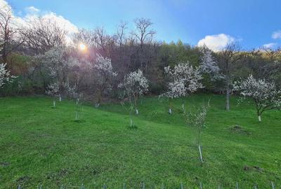 Teren de 1214 mp, în Câmpulung Muscel - 5