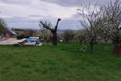 RECO TEREN INTRAVILAN ZONA DEALURI ORADEA RECO TEREN INTRAVILAN ZONA DEALURI ORADEA - 5
