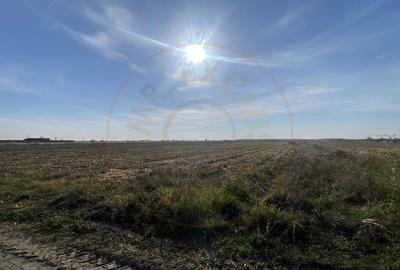 Teren 600 mp intravilan Albota, jud. Arges Teren 600 mp intravilan Albota, jud. Arges - 2